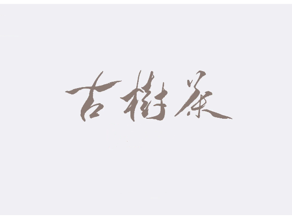 古樹茶