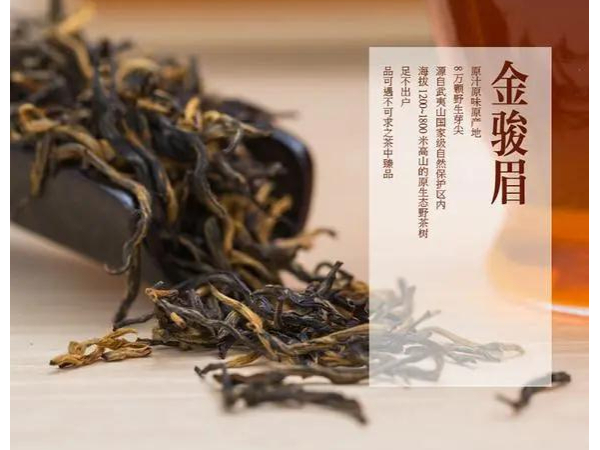 金駿眉紅茶