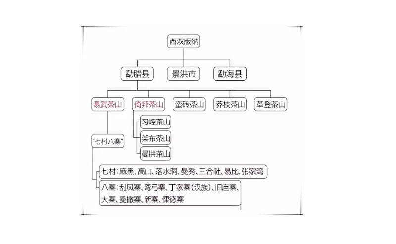 版納茶區