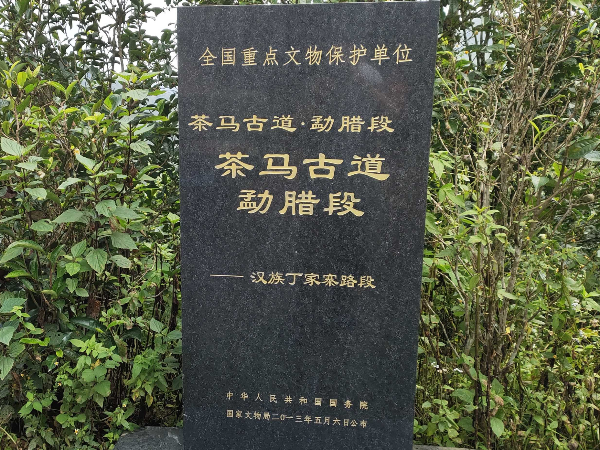 易武茶區(qū)