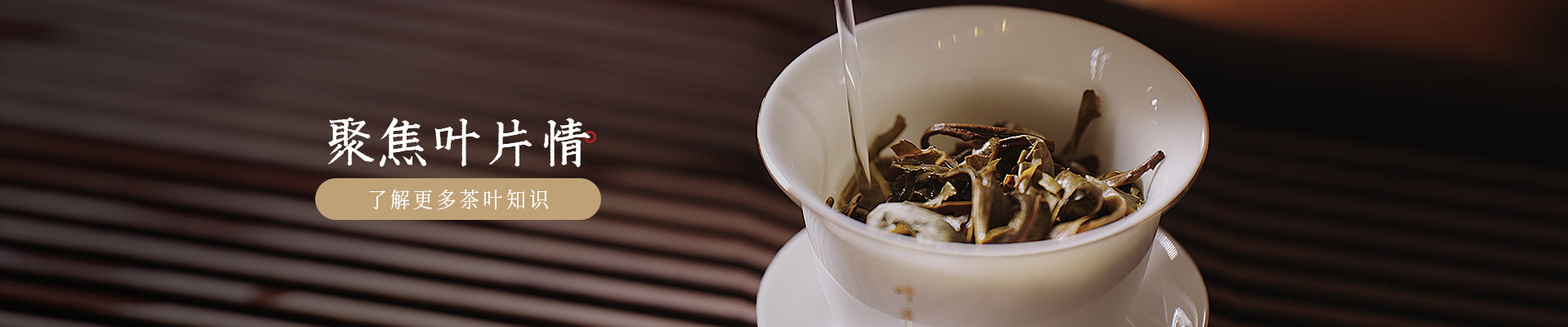 葉片情：聚焦葉片情，了解更多茶葉知識