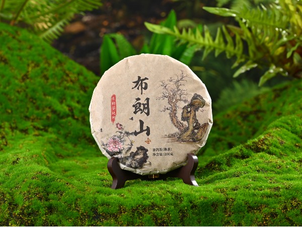 煙香味的茶