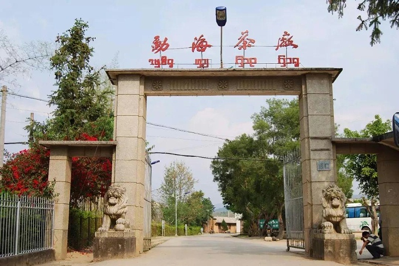 勐海茶廠