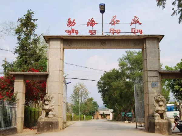 勐海茶廠